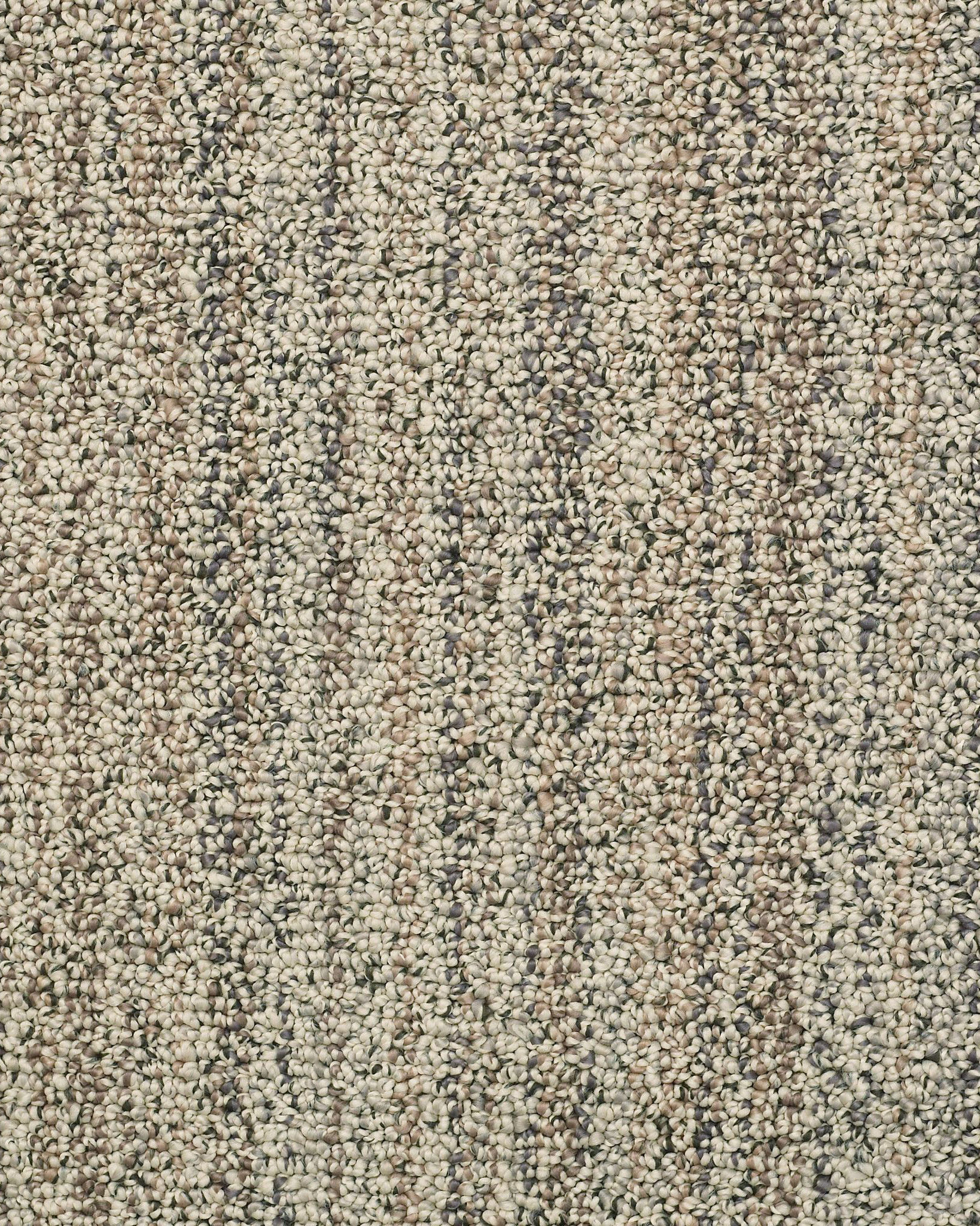Anderson Tuftex Aspen Creek Nylon Textured | Carpet Exchange