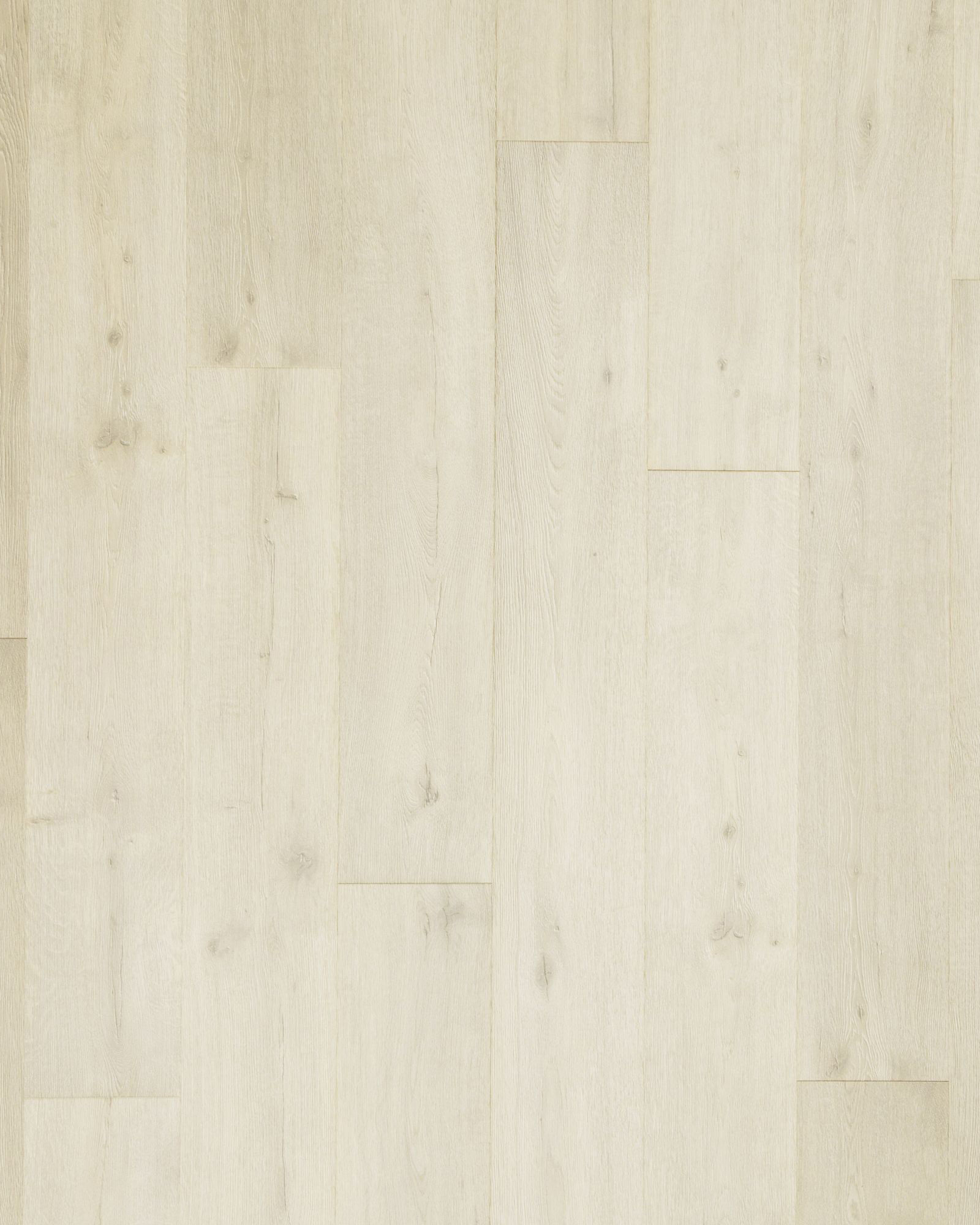 BASSKERVILLE コテカ　KOTEKA BASSKERVILLE コテカ KOTEKA