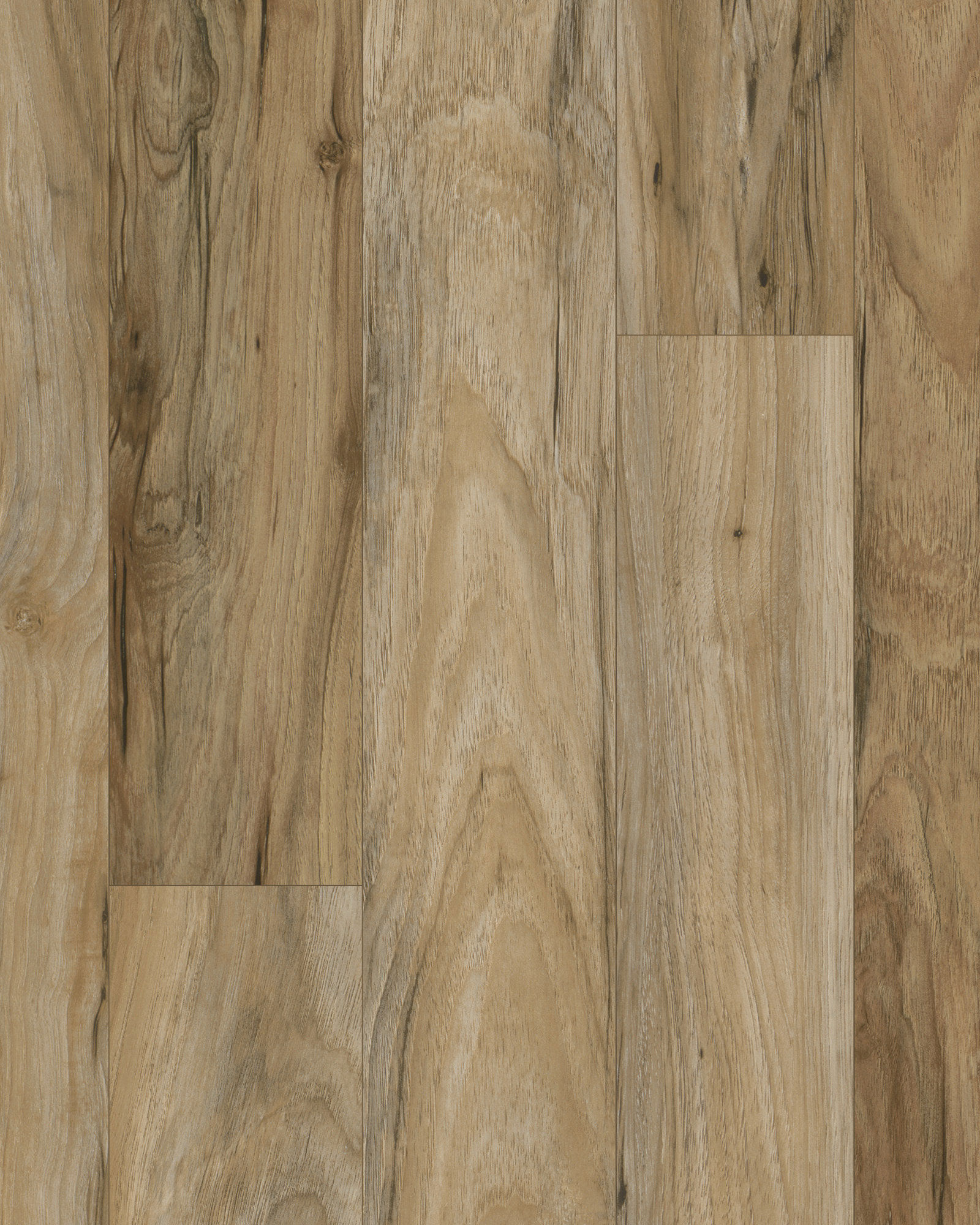 clover0519-MRKK　0728 Amazon.com: Genpak Clover Extra Large 9