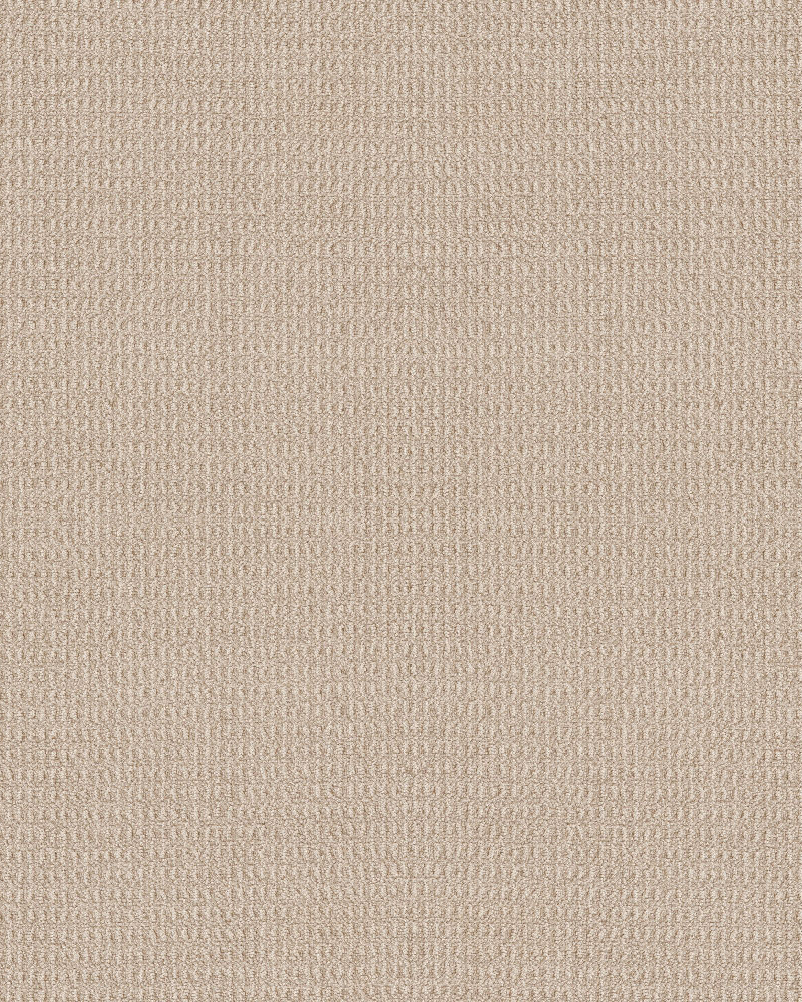 Portofino Nylon Patterned 27oz Carpet