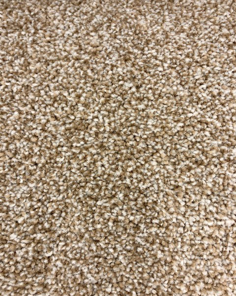 tono さま SmartStrand Exquisite Touch 2S43 is at Georgia Carpet for a great