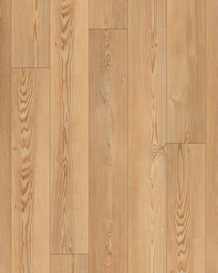 【50台限定】Vivie Professional CALLION Resolve - 6.0 Series - 9