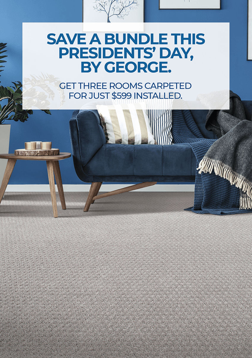 SAVE A BUNDLE THIS PRESIDENTS DAY BY GEORGE.