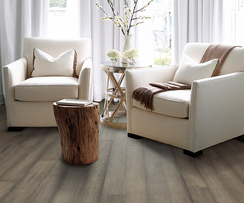 Hardwood Floors Living Room