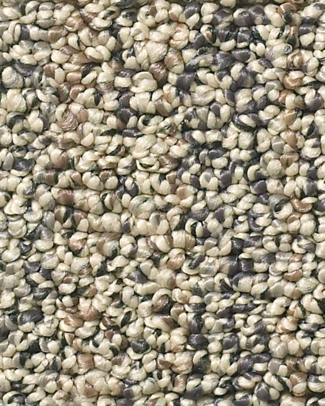 Anderson Tuftex Aspen Creek Nylon Textured | Carpet Exchange