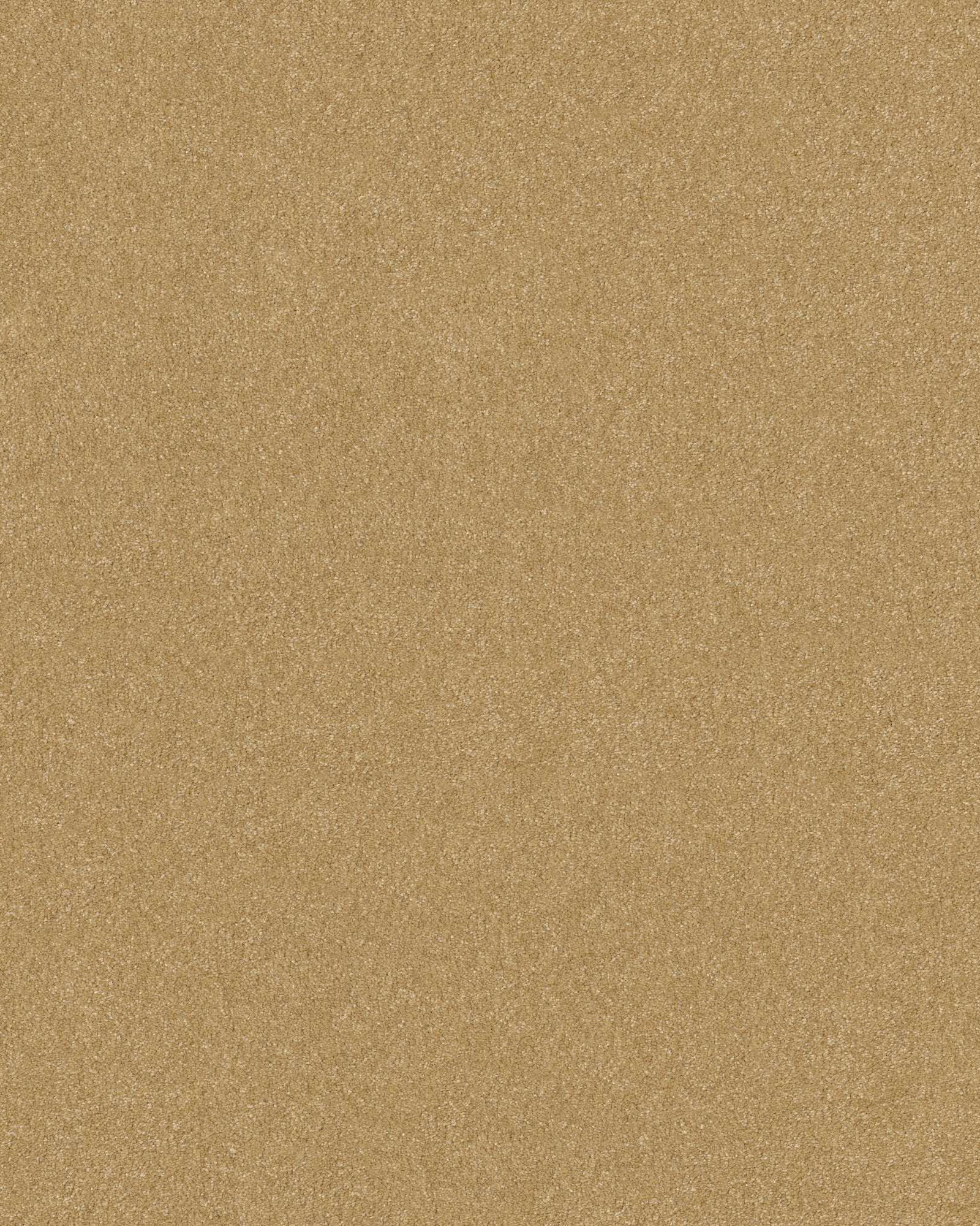 Hard At Play II Honeycomb Carpet