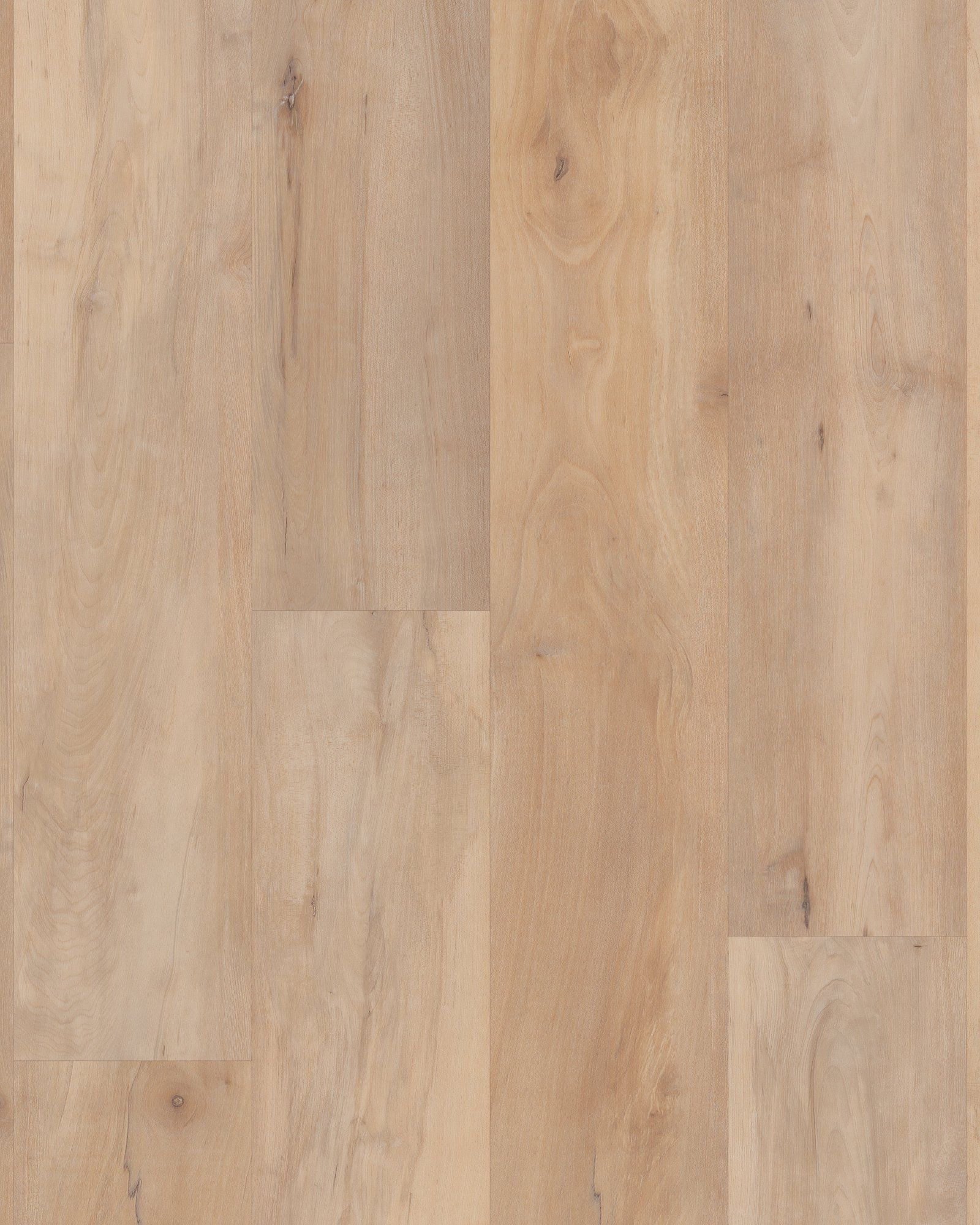 Coretec Pro Premium Brookfield Maple - LVT