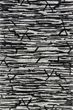 Juneau JY-07 Ivory/Black Area Rug