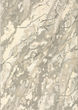 Anastasia 68008 Beige/Ivory Area Rug