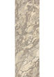 Anastasia 68008 Beige/Ivory Area Rug