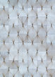Chalet Diamondback Desert Moon Area Rug