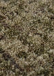 Calisa CS5 Basil Area Rug