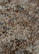 Calisa CS5 Coffee Area Rug