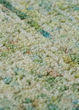 Calisa CS5 Kiwi Area Rug