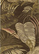 Havana 2615 Mocha Rainforest Area Rug