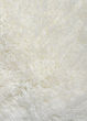 Impact IA100 Ivory Area Rug