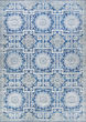 Pasha Sari Sapphire Area Rug
