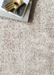 Sienne SIE-01 Ivory/Pebble Area Rug