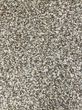 Tonal 40 Haven EverStrand 38oz Carpet