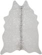 Bryce BZ-09 Stone/Silver Area Rug