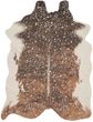 Bryce BZ-10 Walnut/Champagne Rug