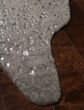 Bryce BZ-03 Graphite/Silver Area Rug