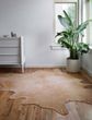 Bryce BZ-05 Tan/Gold Area Rug
