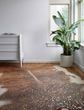 Bryce BZ-10 Walnut/Champagne Rug