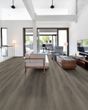 Paladin Plus Ashen Brown Luxury Vinyl