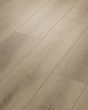 Paladin Plus Toasted Taupe Luxury Vinyl