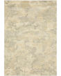 Astor 2268j Beige/Grey Area Rug