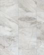Paragon Tile Plus Catalina 12"x24" Luxury Vinyl
