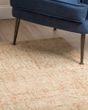 Calisa CS5 Desert Area Rug