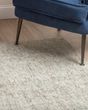 Calisa CS5 Fog Area Rug