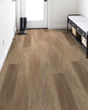 Pantheon HD Plus Foresta Luxury Vinyl