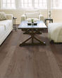 Raven Rock Brushed Greystone 5" Hickory Hardwood