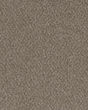 Royal Crest Buff Carpet