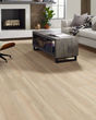 Paragon HD+ Natural Bevel Cambridge Luxury Vinyl