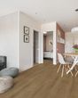 Dwell Rich Cocoa Luxury Vinyl