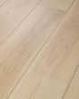 Titan HD Plus Platinum Heritage Hickory Luxury Vinyl