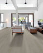Titan HD Plus Platinum Serene Driftwood Luxury Vinyl