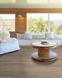 Infinite 20 Salt River Luxury Vinyl