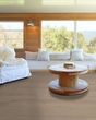 Northern Voyage 9 Petaluma Luxury Vinyl