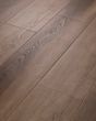 Aspire Natural Bevel Trailblazer Brown 9"x60" Luxury Vinyl