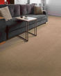 Quality Space SmartStrand 40oz Carpet