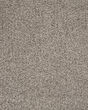Luxuriant Surface Textured SmartStrand 55oz Carpet