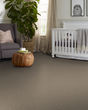 Artistic Fusion I Pet Friendly 43oz Carpet