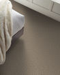 Artistic Fusion I Pet Friendly 43oz Carpet