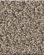 Artistic Fusion I Pet Friendly 43oz Carpet
