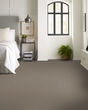 Artistic Fusion II Pet Friendly Carpet